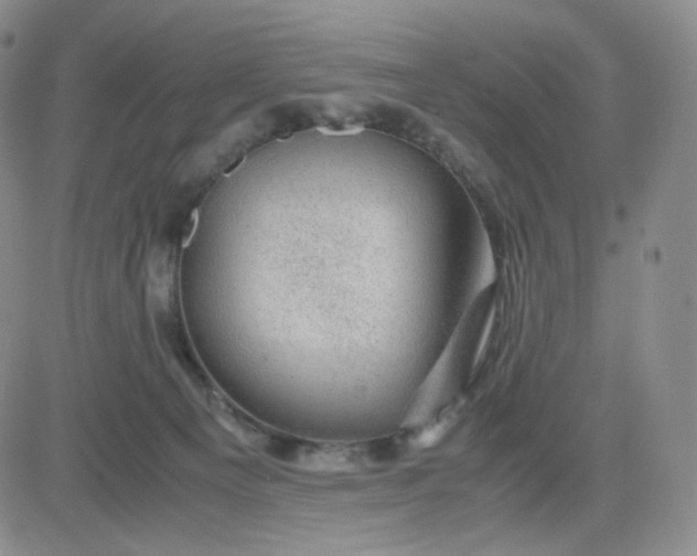 X0000083580129200702231705