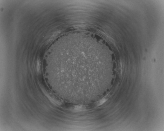 X0000083580130200702231705