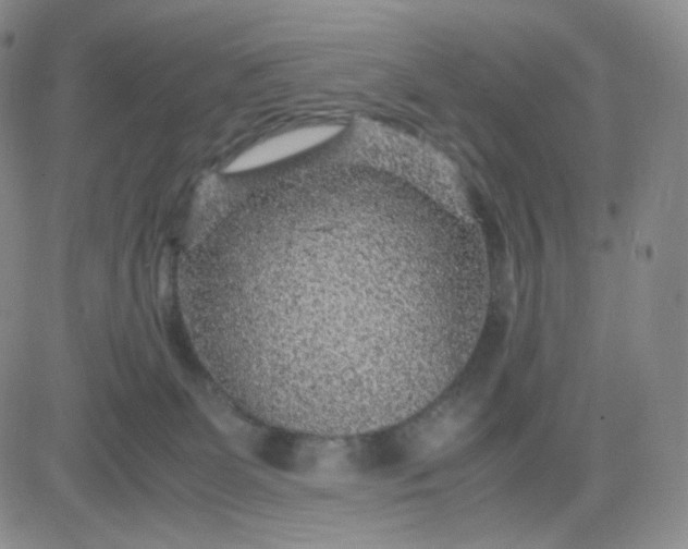 X0000083580131200702231705