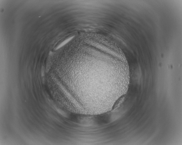 X0000083580132200702231705