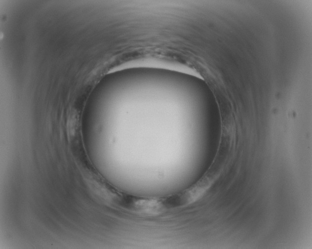 X0000083580133200702231705