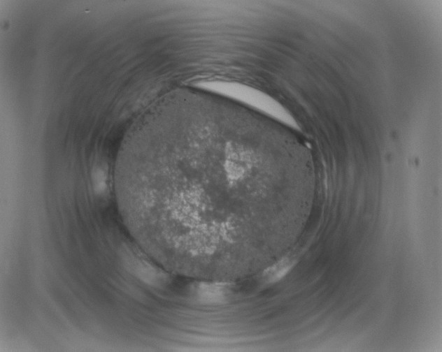 X0000083580134200702231705