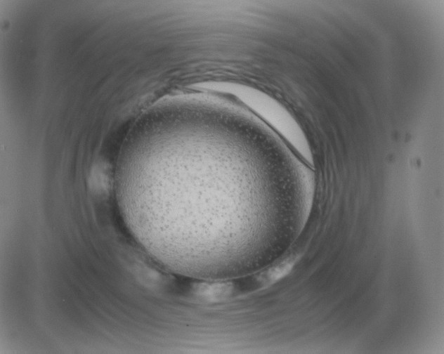 X0000083580135200702231705