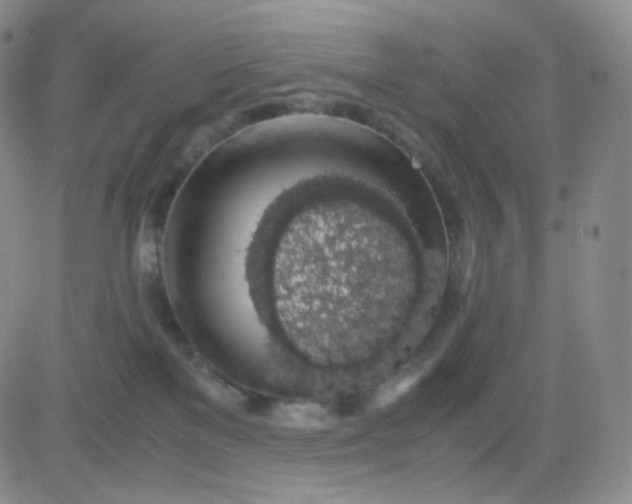 X0000083580137200702231705