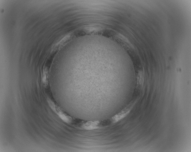 X0000083580138200702231705