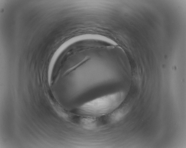 X0000083580139200702231705