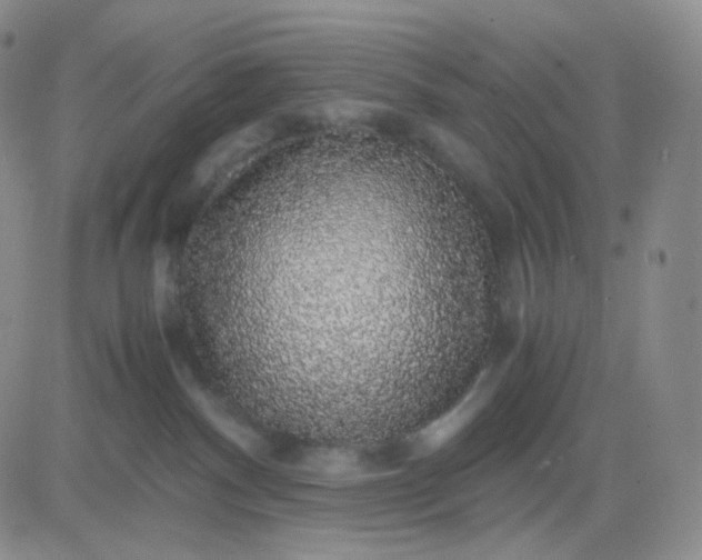 X0000083580140200702231705