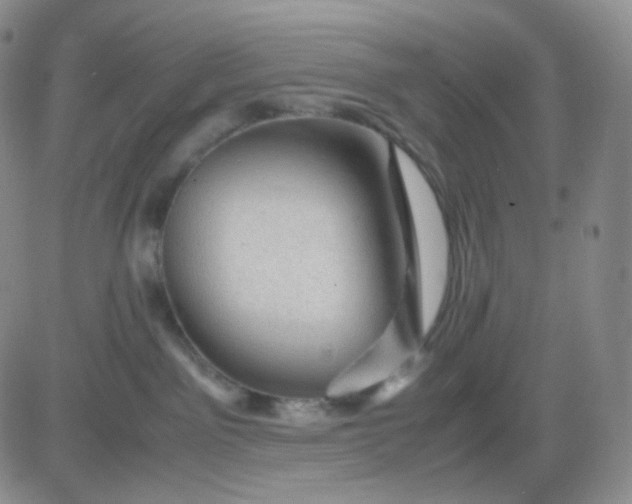 X0000083580141200702231705