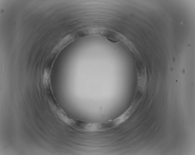 X0000083580142200702231705