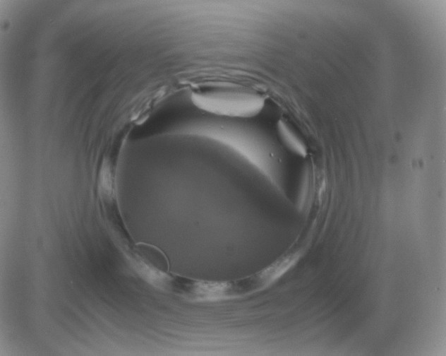 X0000083580143200702231705