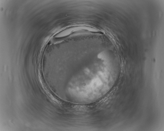 X0000083580145200702231704