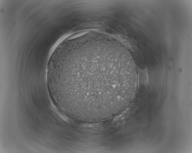 X0000083580147200702231704