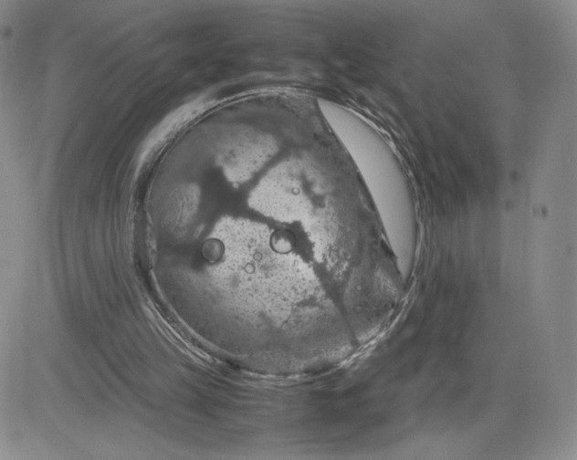 X0000083580149200702231704