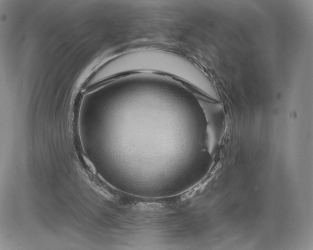 X0000083580150200702231704