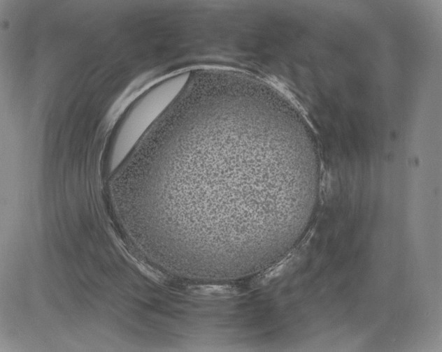 X0000083580151200702231704