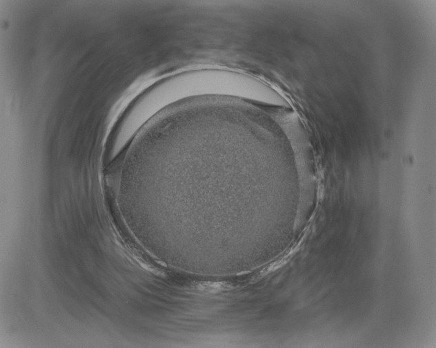 X0000083580152200702231704