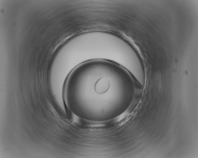 X0000083580154200702231704