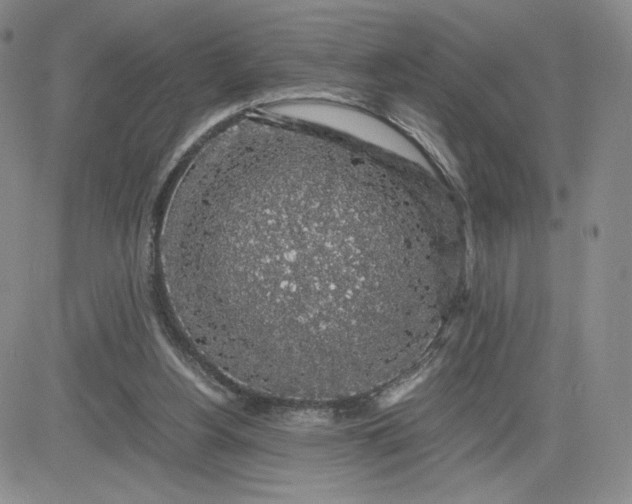 X0000083580156200702231704