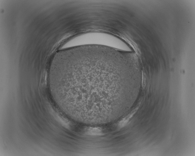 X0000083580157200702231704