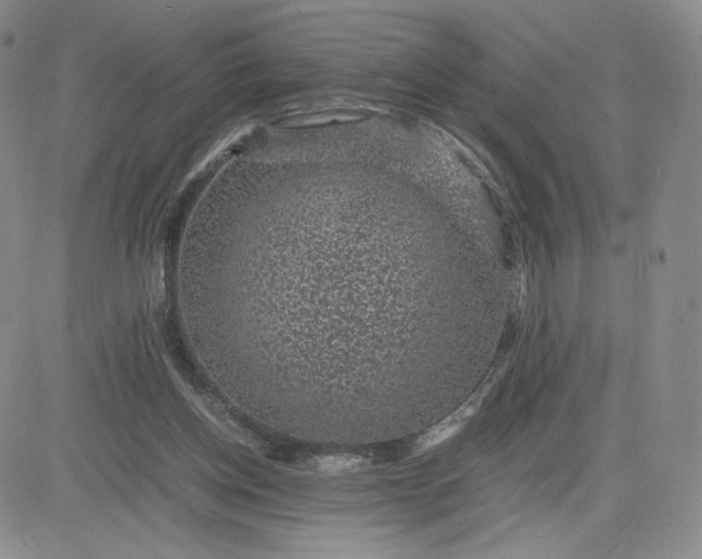 X0000083580158200702231704