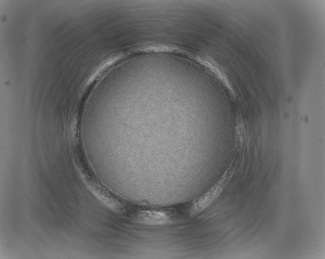 X0000083580159200702231704