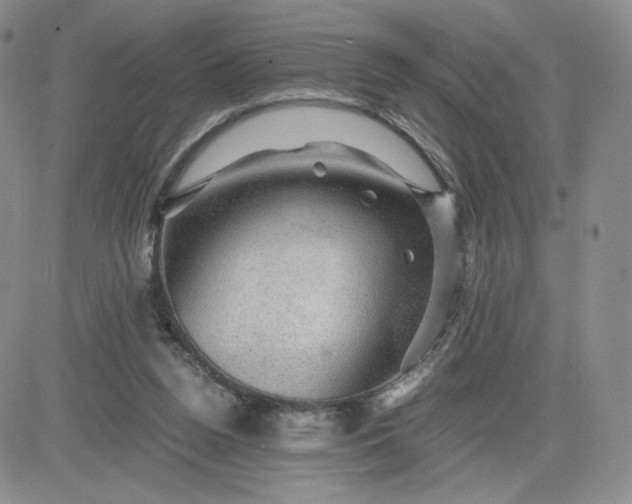 X0000083580160200702231704