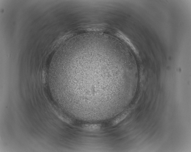 X0000083580161200702231704