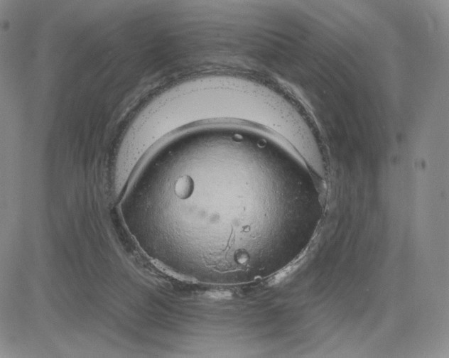 X0000083580162200702231704