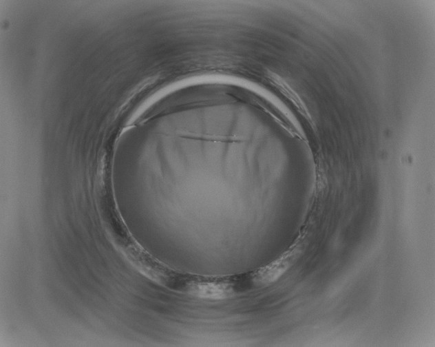 X0000083580163200702231704