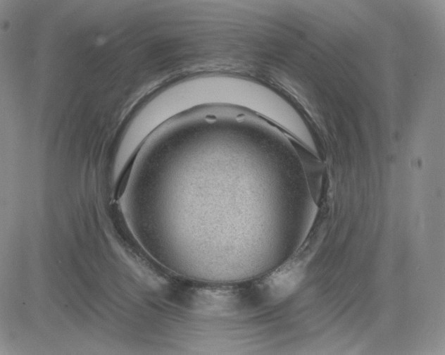 X0000083580164200702231704