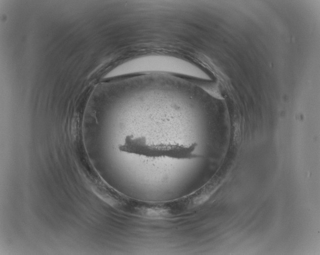 X0000083580165200702231704