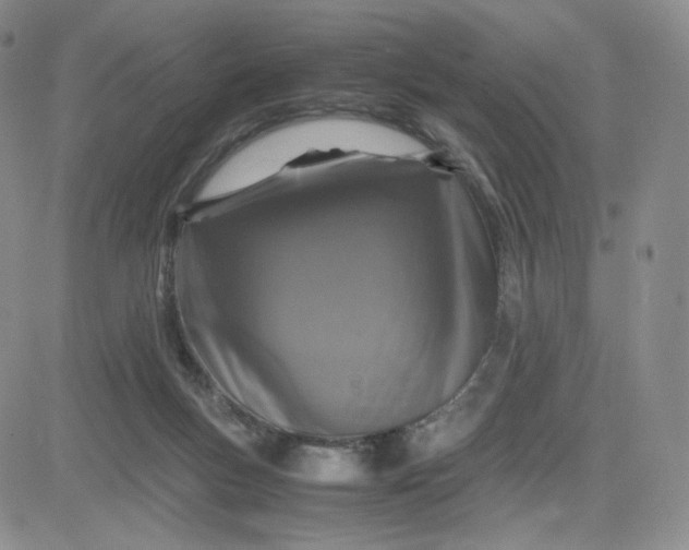 X0000083580167200702231704