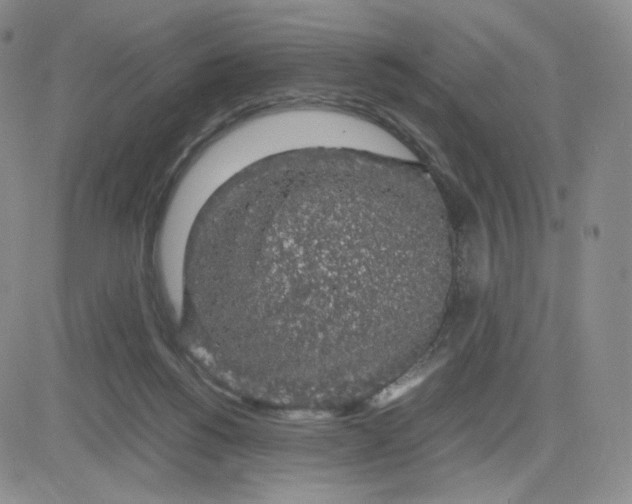 X0000083580168200702231704