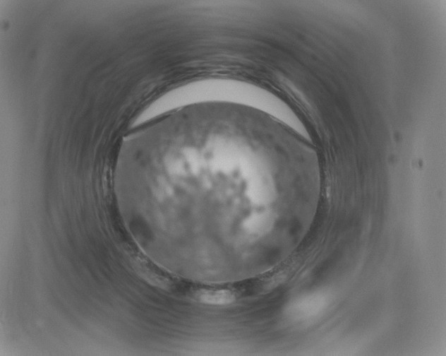 X0000083580169200702231704