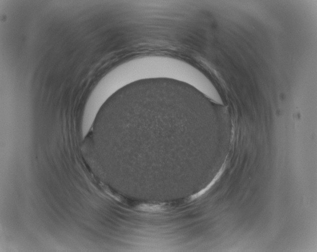 X0000083580170200702231704