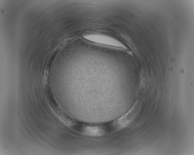 X0000083580171200702231704