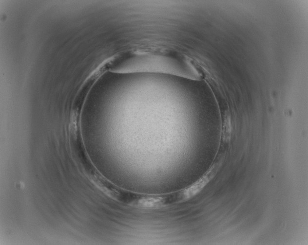 X0000083580172200702231704