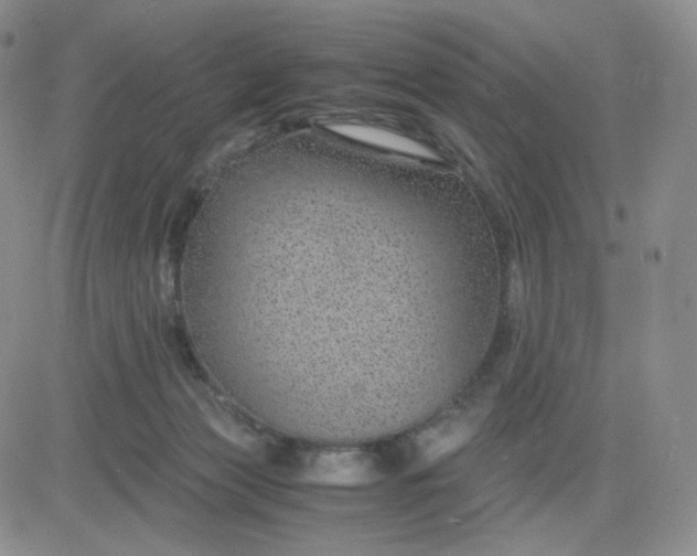 X0000083580173200702231704