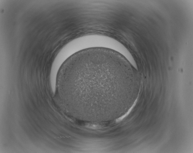 X0000083580174200702231704