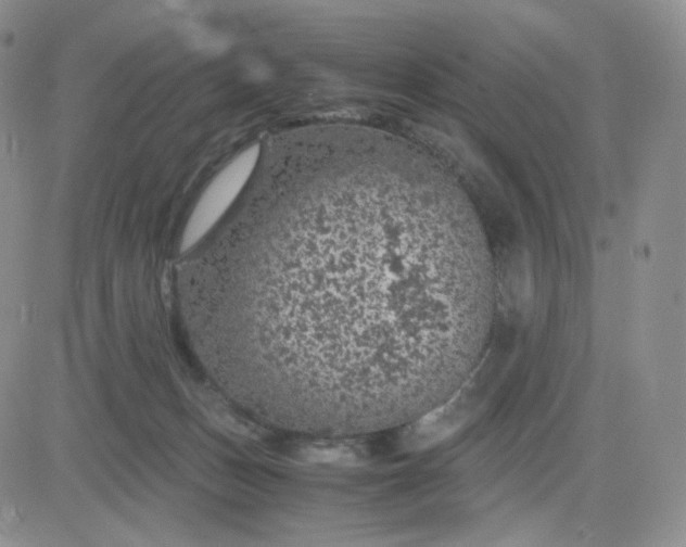 X0000083580175200702231704