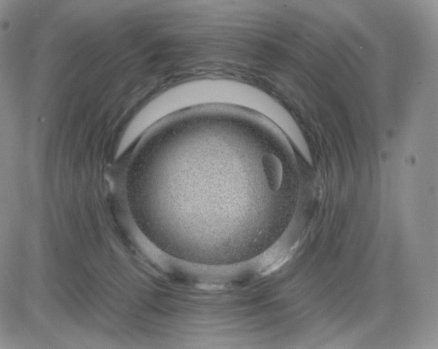 X0000083580176200702231704