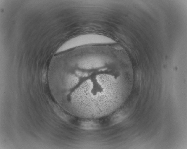 X0000083580177200702231704