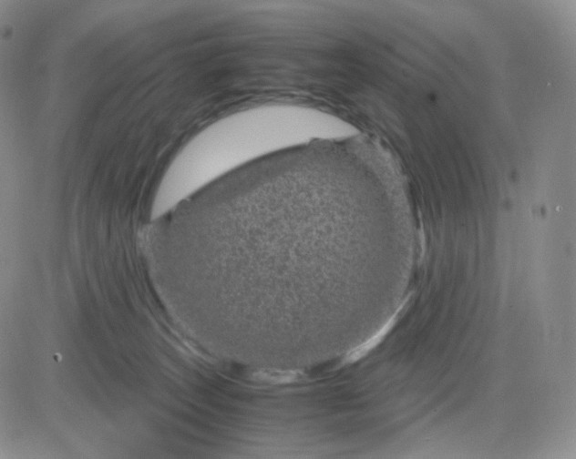 X0000083580179200702231704