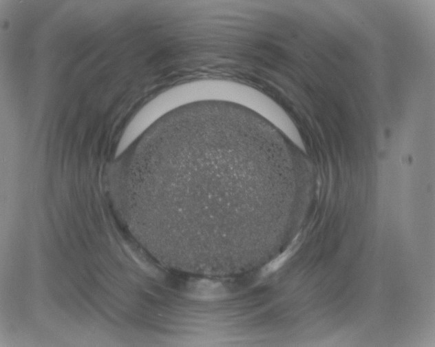 X0000083580180200702231704