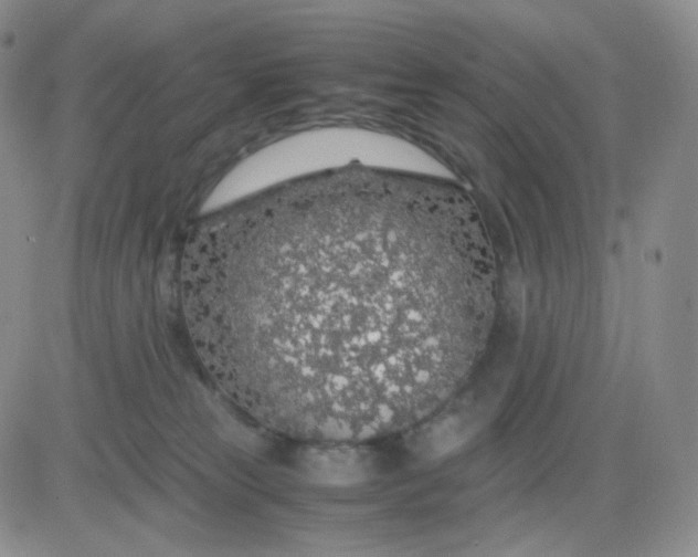 X0000083580181200702231704