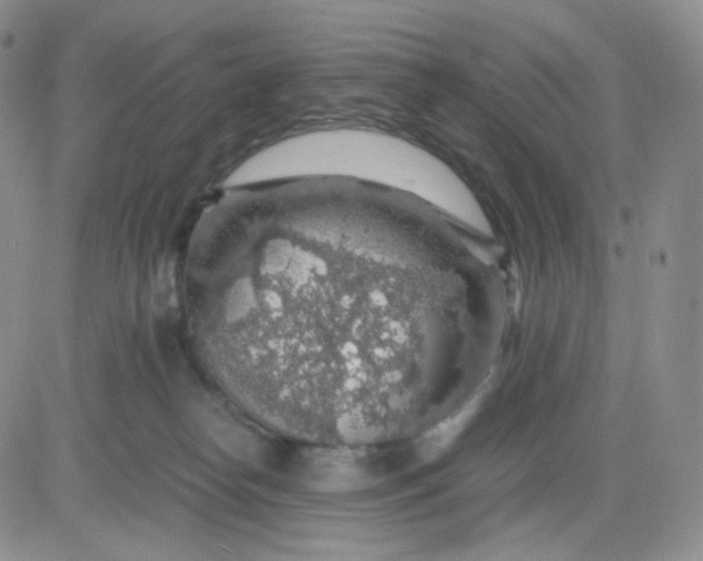 X0000083580182200702231704