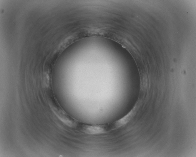 X0000083580183200702231704