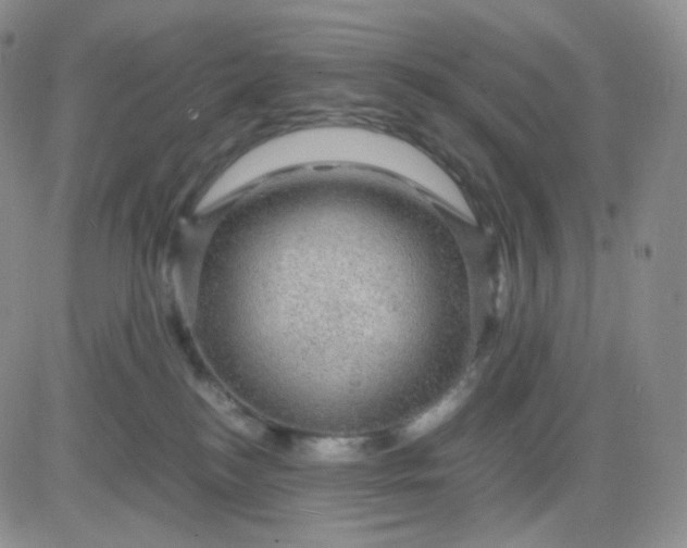 X0000083580184200702231704