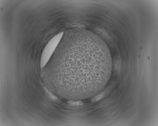 X0000083580185200702231704