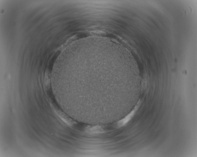 X0000083580186200702231704